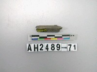 藏品(磨製石針)的圖片